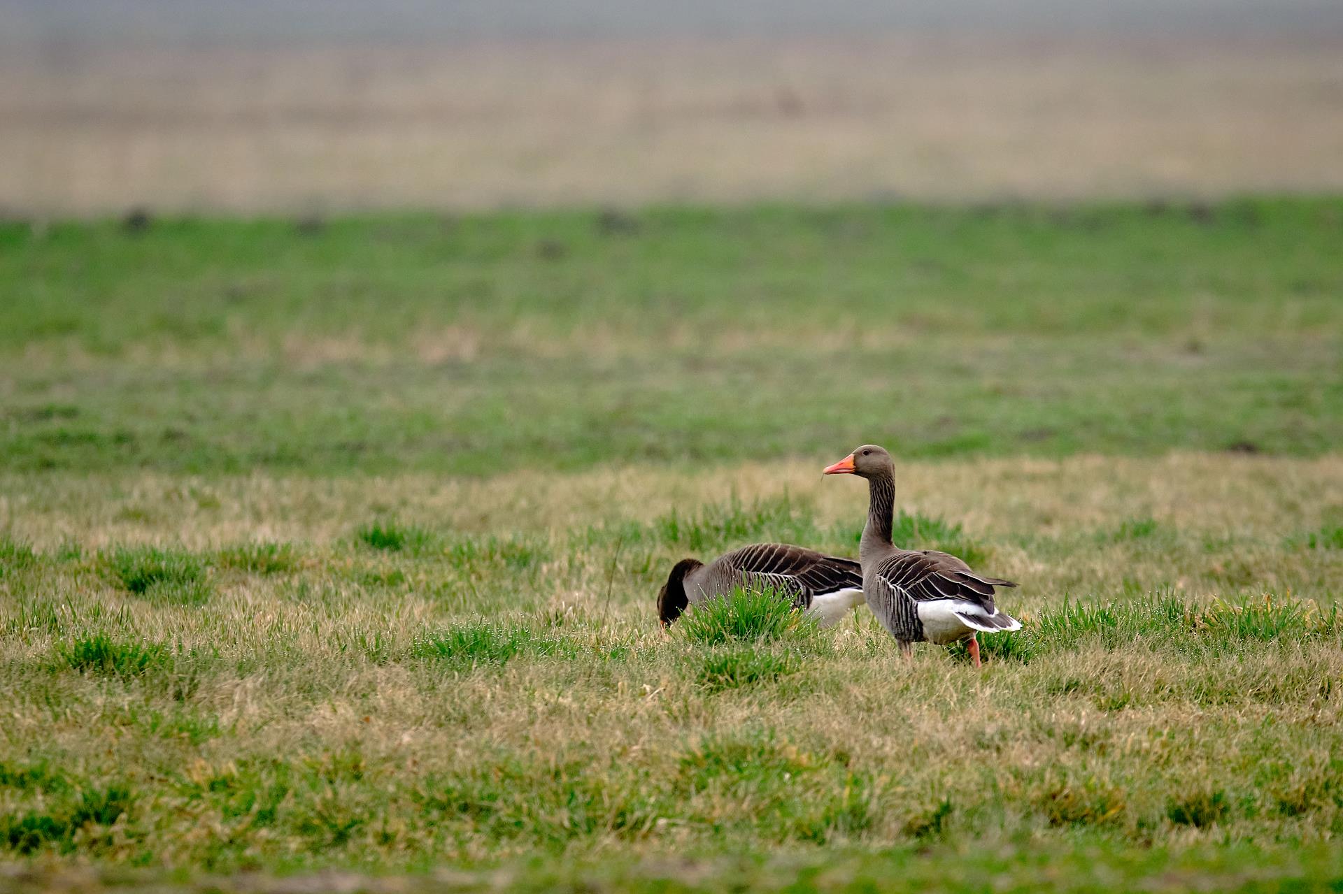 24030407313891