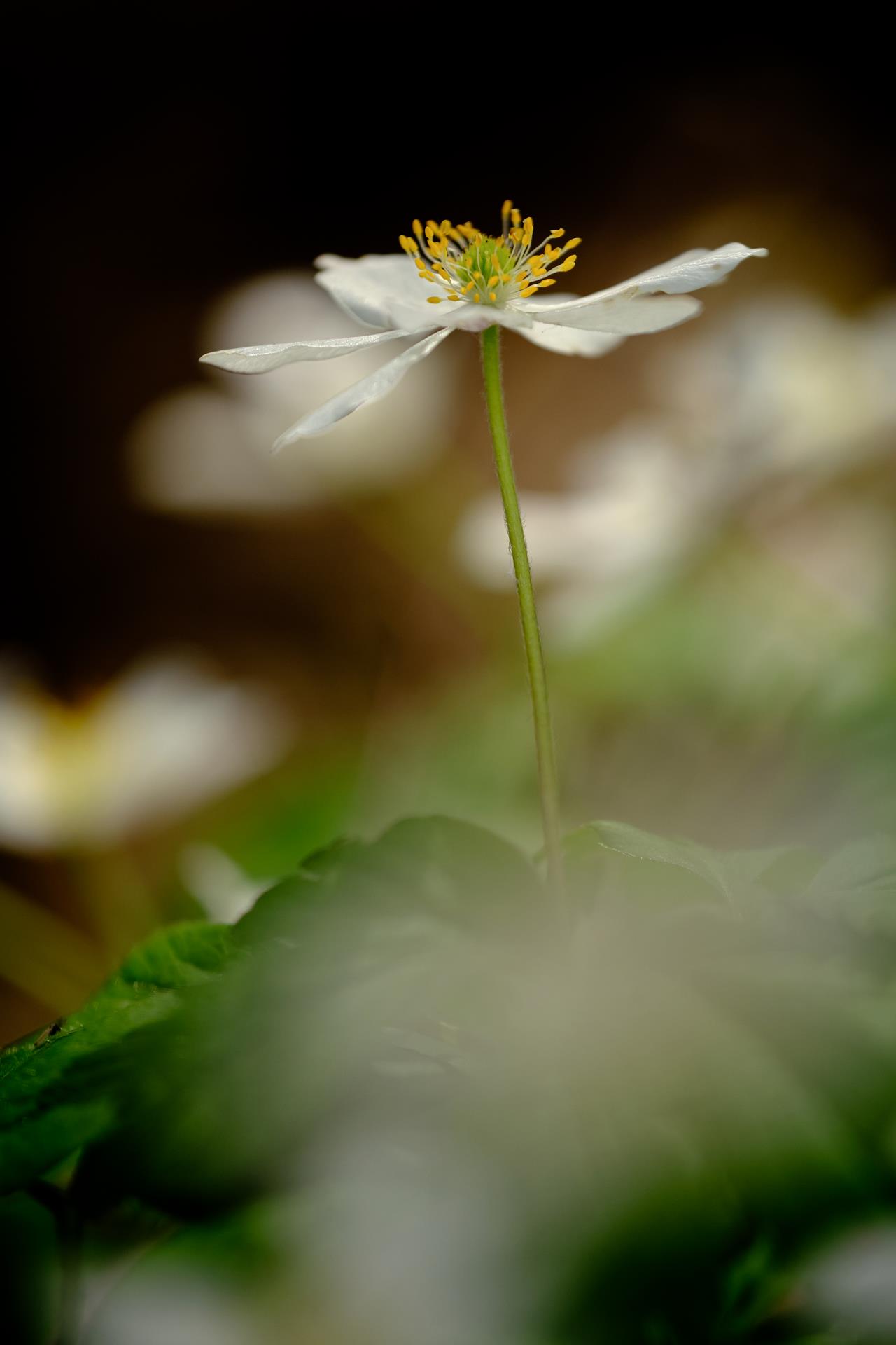 24033014590057